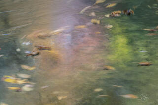 Swirling Whispers