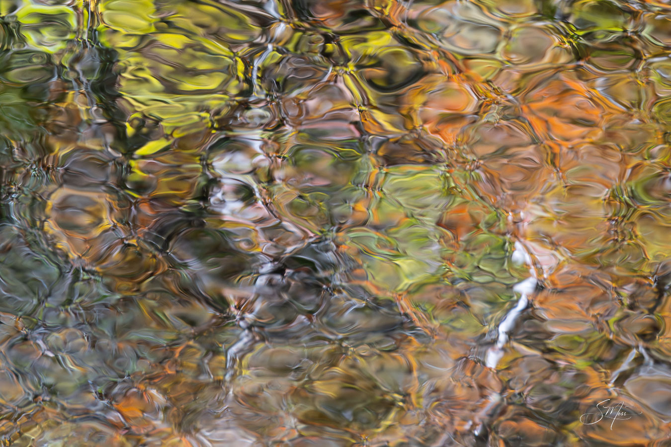 autumn, tranquility, Great Smoky Mountain National Park, nature, water, Tennessee, vacation, fall, rocks, calming, trees, abstracts...